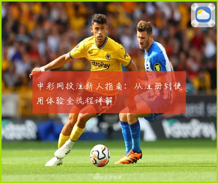 中彩网投注新人指南：从注册到使用体验全流程详解