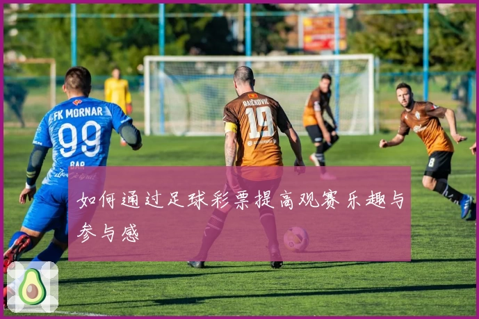 如何通过足球彩票提高观赛乐趣与参与感