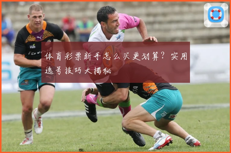 体育彩票新手怎么买更划算?实用选号技巧大揭秘