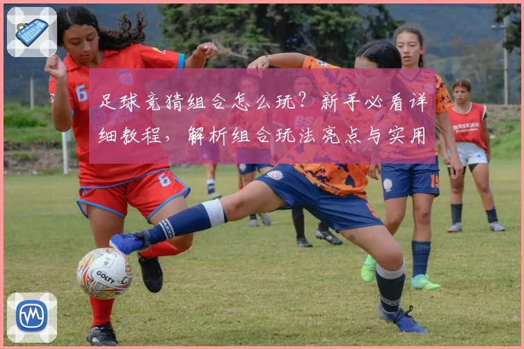 足球竞猜组合怎么玩？新手必看详细教程，解析组合玩法亮点与实用策略